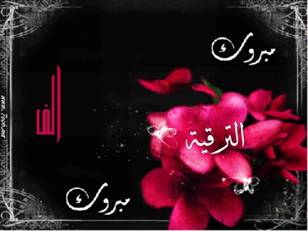 بطاقات تهنئة بوظيفة جديدة2