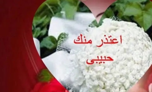 رسائل اعتذار للزوج بالصور 3