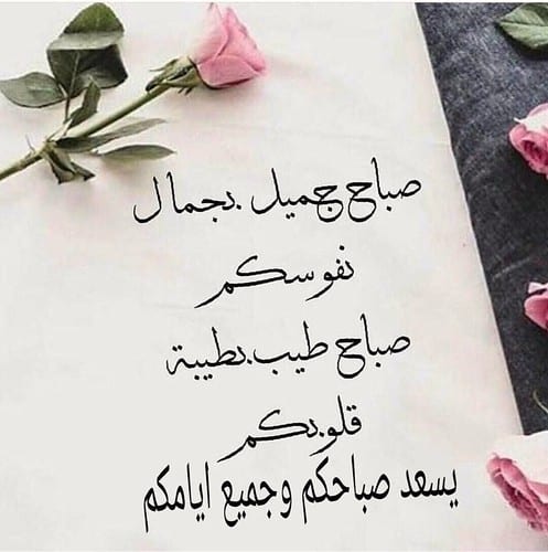 صباح الخير للاصدقاء بالصور 4