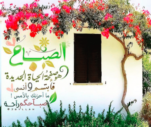 صباح الخير للاصدقاء بالصور 5