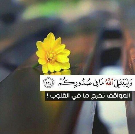 رسائل ربانية من القرآن تويتر  4