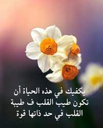 أبيات شعر عن القلب السليم