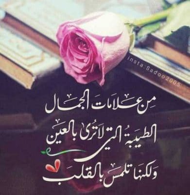 شعر شعبي عن طيبة القلب
