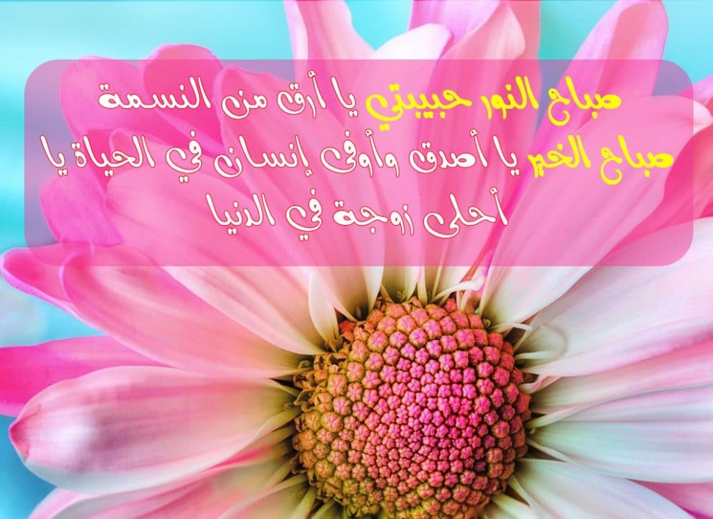 رسائل صباحية للزوجة تويتر 1