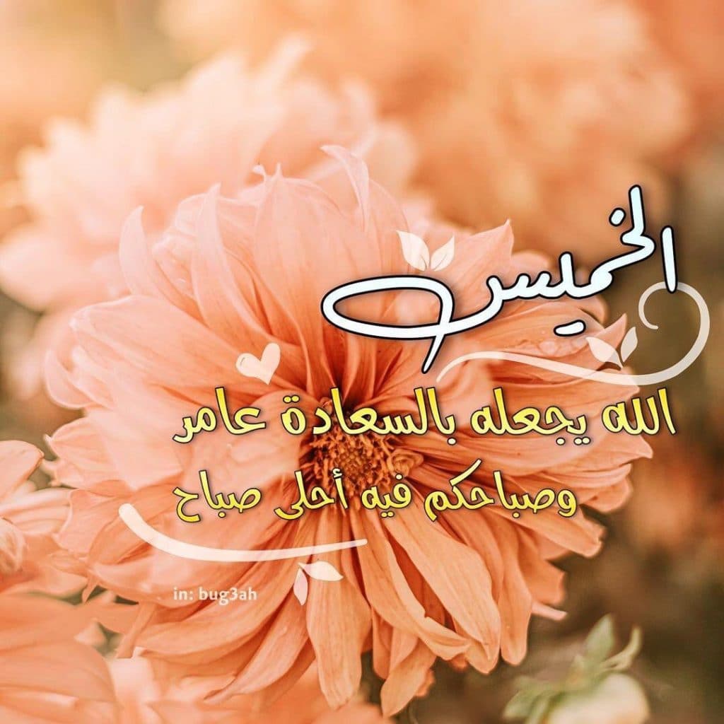 مساء الخميس الونيس تويتر 5