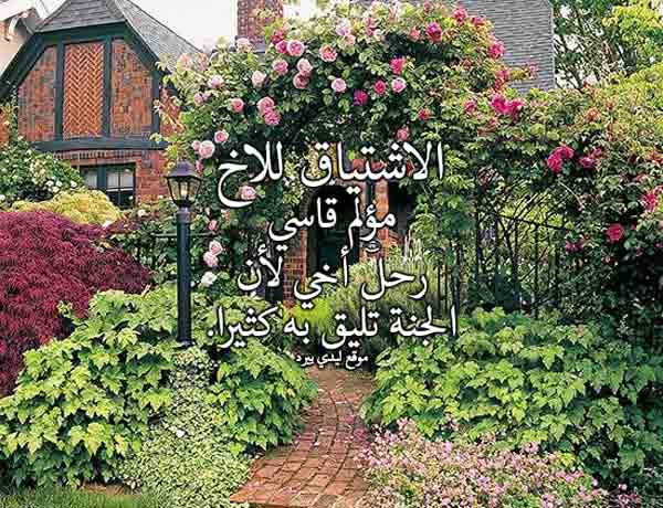 شعر عن فراق الاخ عراقي