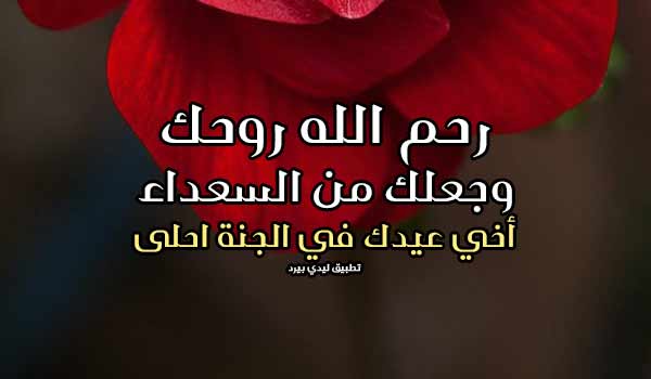 شعر عن الأخ المتوفي في العيد
