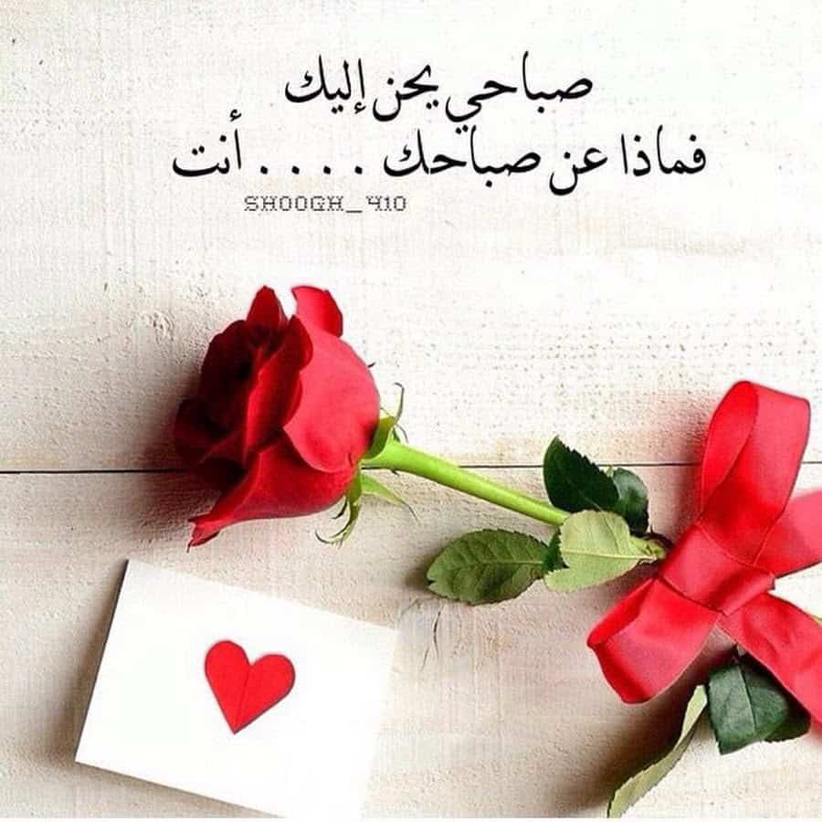 صباح الخير للحبيب بالصور 3