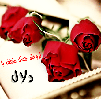 خلفيات اسم دلال5