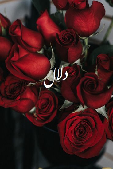 شعر عن دلال الحبيبة