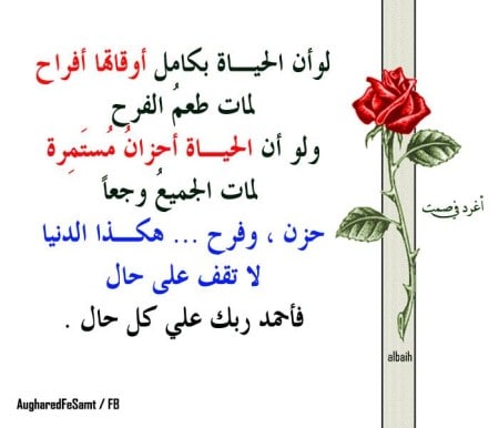حكم عن الحياة والدنيا بالصور3