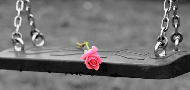 أبيات شعر عن رد الإساءة