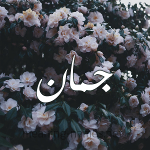 ابيات شعر في جمان
