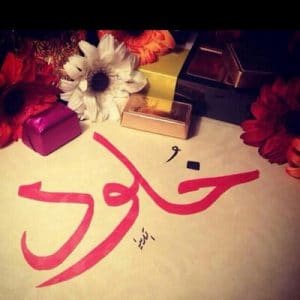 ابيات شعر في خلود