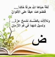 أبيات شعر عن اللغة العربية