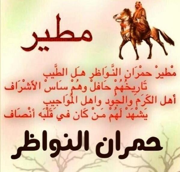 عبارات عن مطير تويتر4