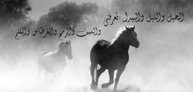 اجمل ما قال المتنبي في الفخر