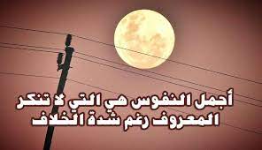 ابيات شعر في ناكر الجميل