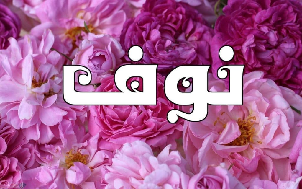 اهداء باسم نوف