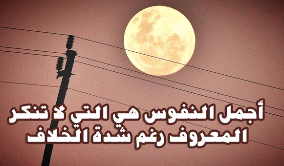 شعر عن رد الجميل والمعروف تويتر