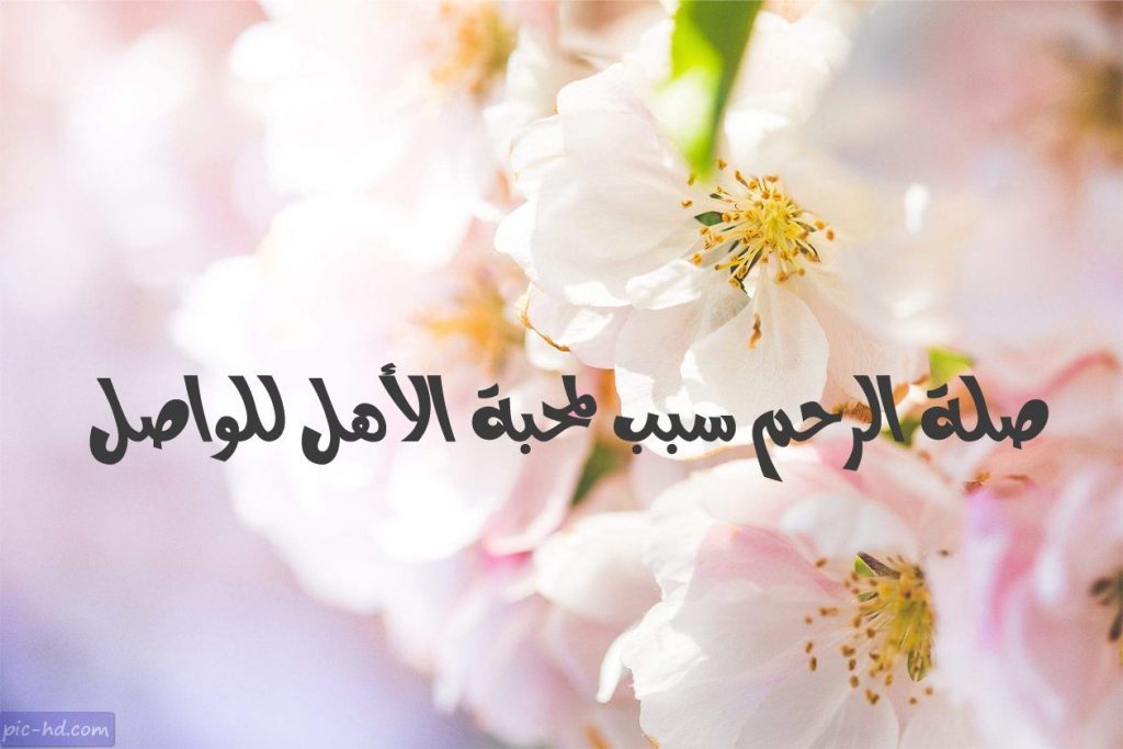 كلام عن صلة الرحم بالصور5