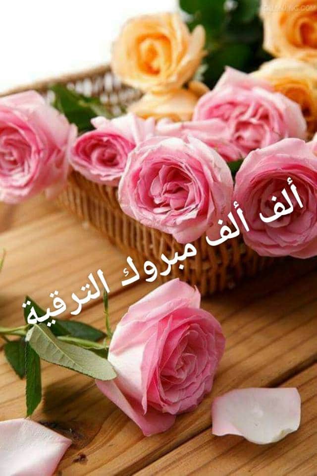 عبارات قصيرة عن الترقية