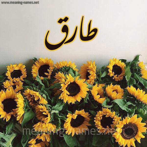 اسم طارق مكتوب بالورد2