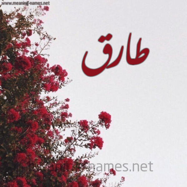 اسم طارق مكتوب بالورد5
