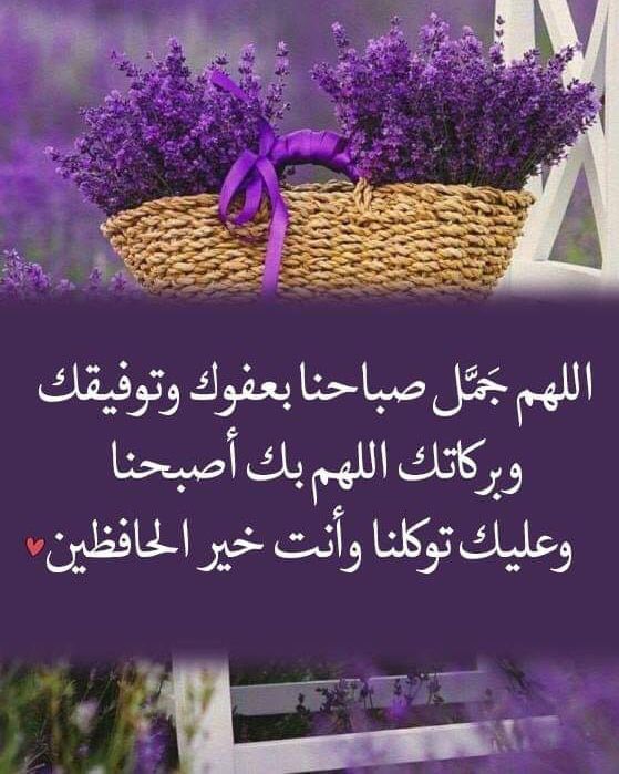 عبارات صباح الخير