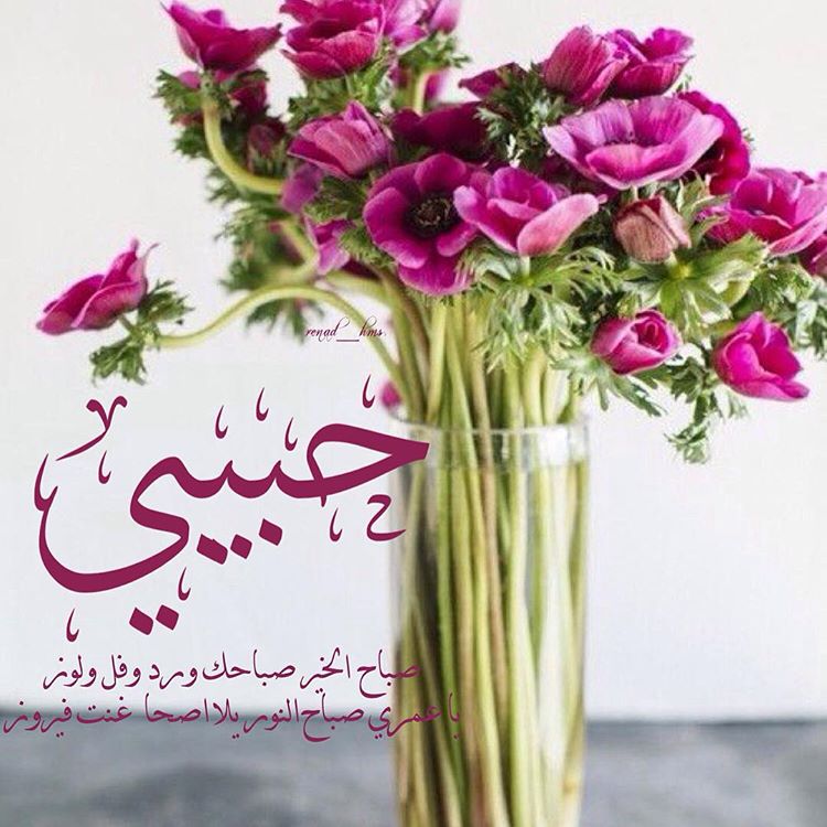 صباح الخير للحبيب بالصور1