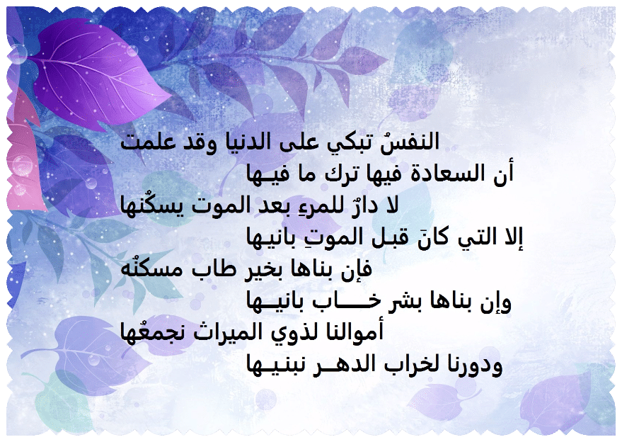 ابيات شعر في ذم الدنيا
