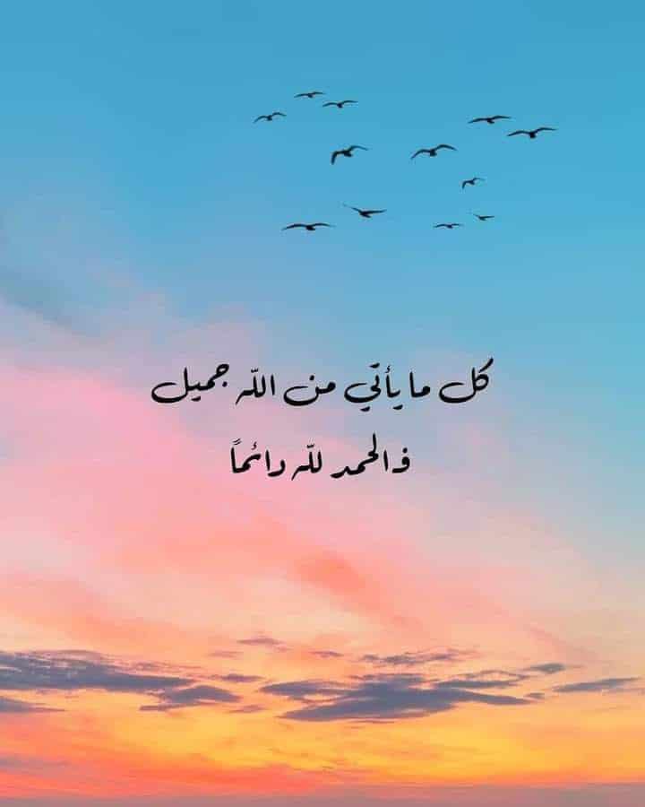 كلمات عن غروب الشمس