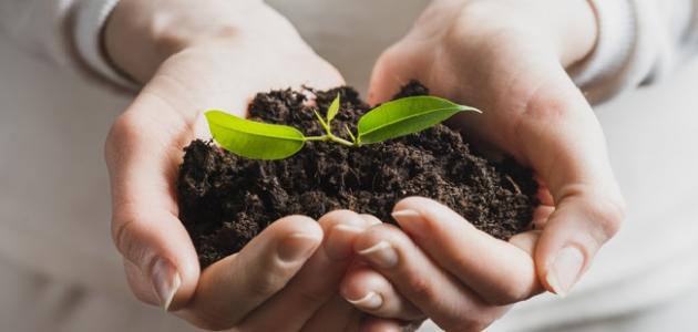 عبارات جميلة عن فعل الخير
