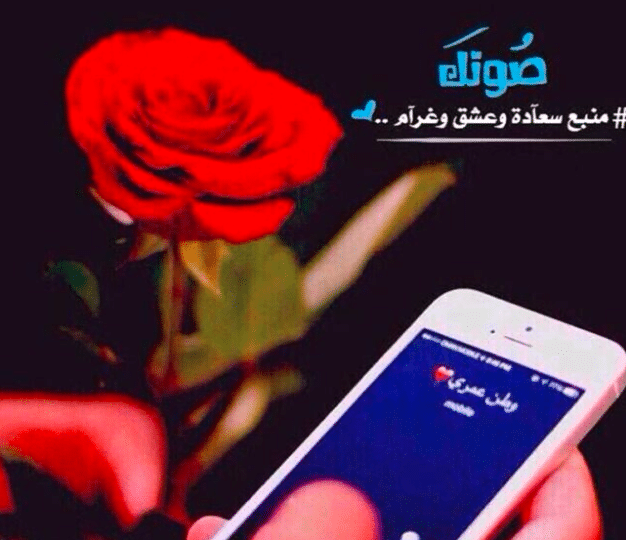 كلام حب تويتر قصير 3
