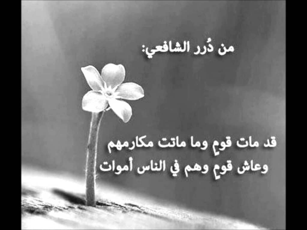 ابيات شعر في رد الجميل