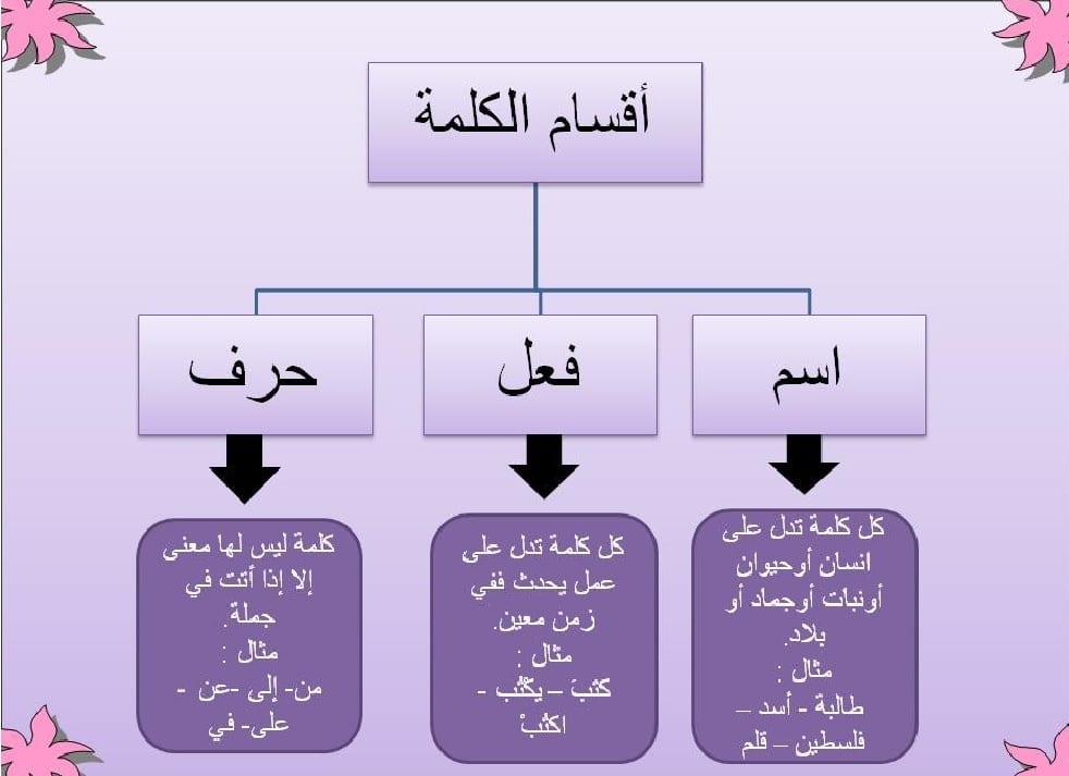 خريطة مفـاهيم أقسام الكلمة 1