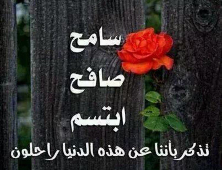 التسامح بين الاخوان