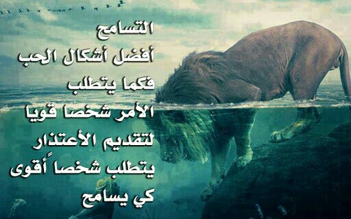 كلام عن التسامح والاعتذار