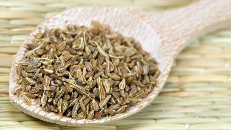 تجربتي مع شرب اليانسون للارق