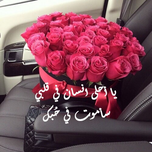 كلمات هدية لحبيبتي