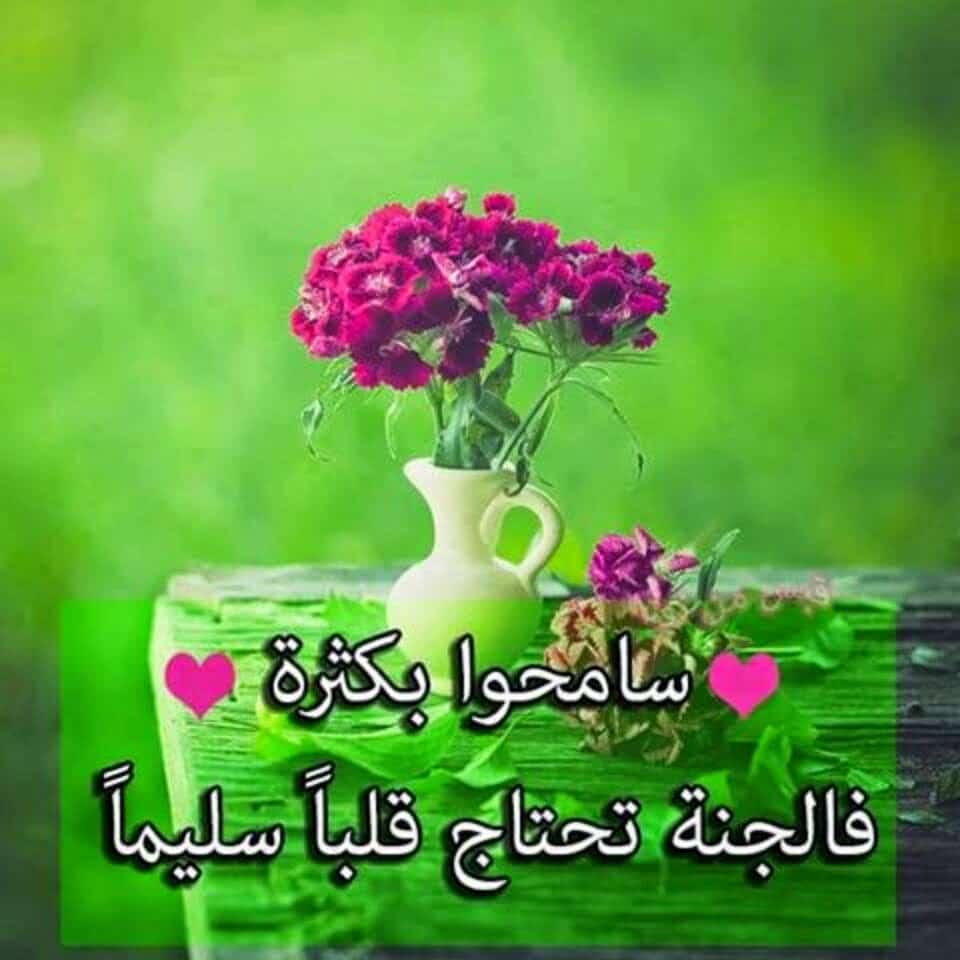 كلمات عن التسامح وصفاء القلوب