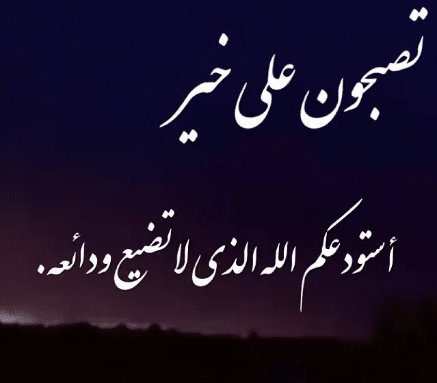 ليلة سعيدة حبيبي