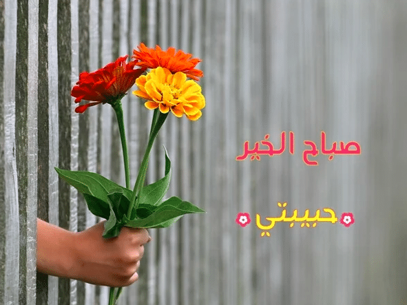 صباح الخير حبيبتي رومانسية