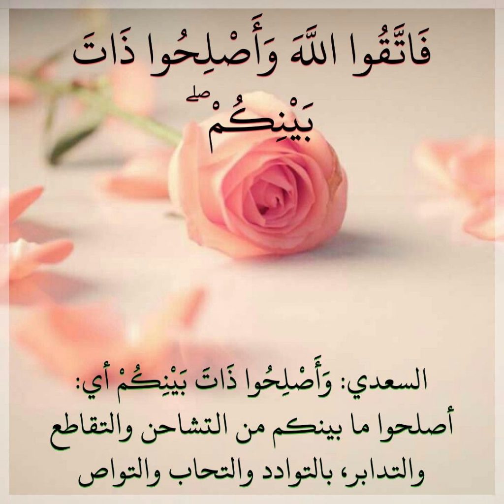 فوائد الصلح