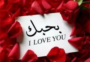 رسائل يومية للحبيب