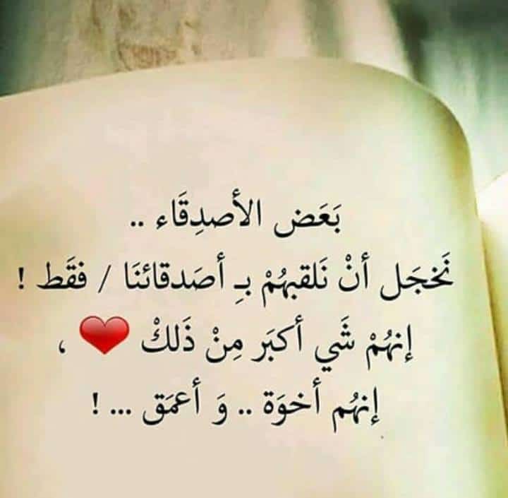 قصيدة مدح الصديق الوفي
