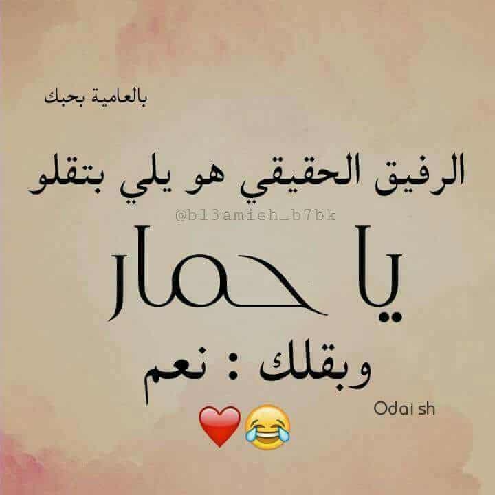 رسائل مضحكة للاصدقاء