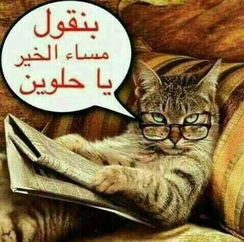 رسائل مسائية مضحكة