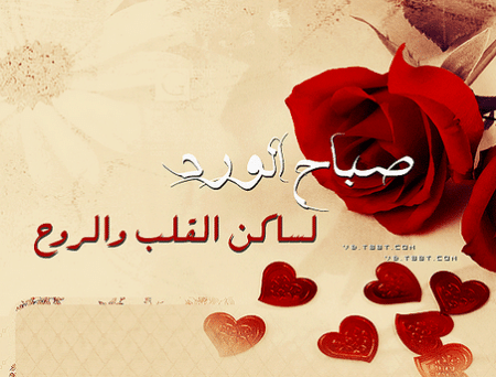 رسائل حب صباحية للمخطوبين