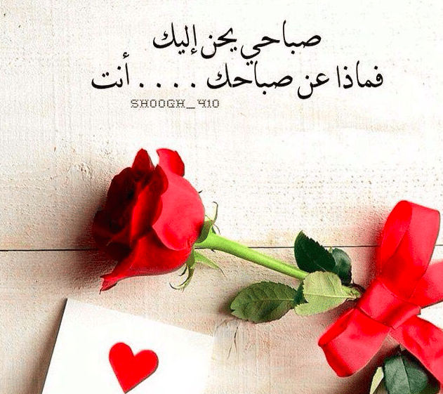 رسائل حب للحبيبة صباحية 